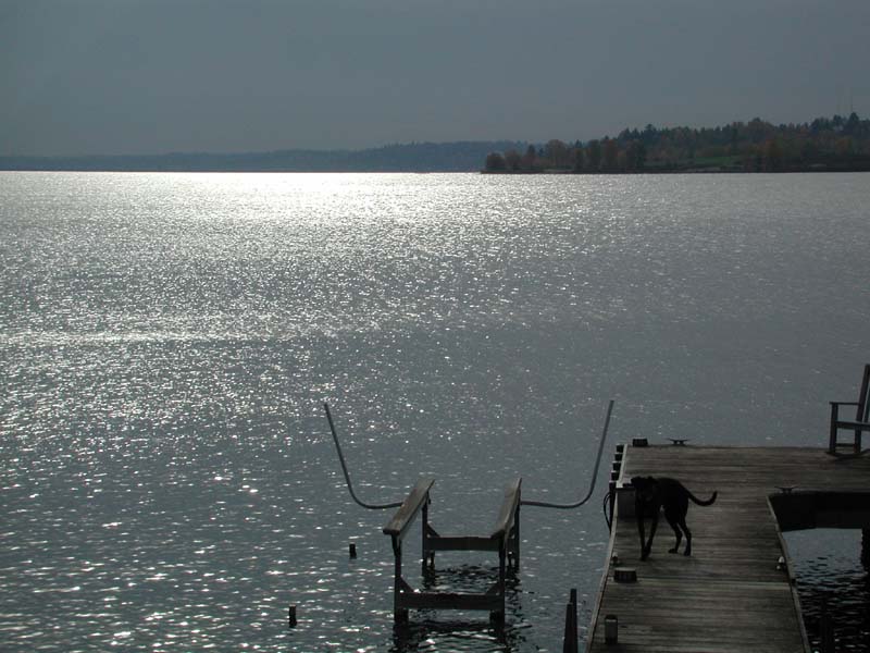 Kirby on dock 3.jpg 78.0K